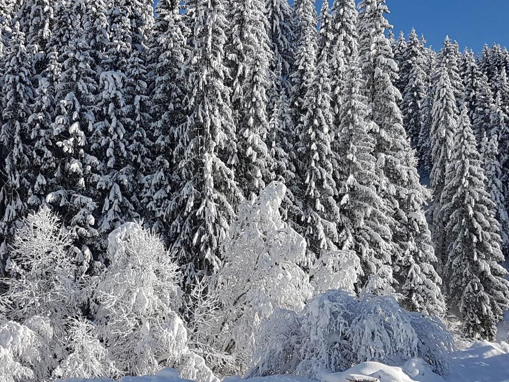 Pension Haus Rohrmoser Lungötz Екстериор снимка